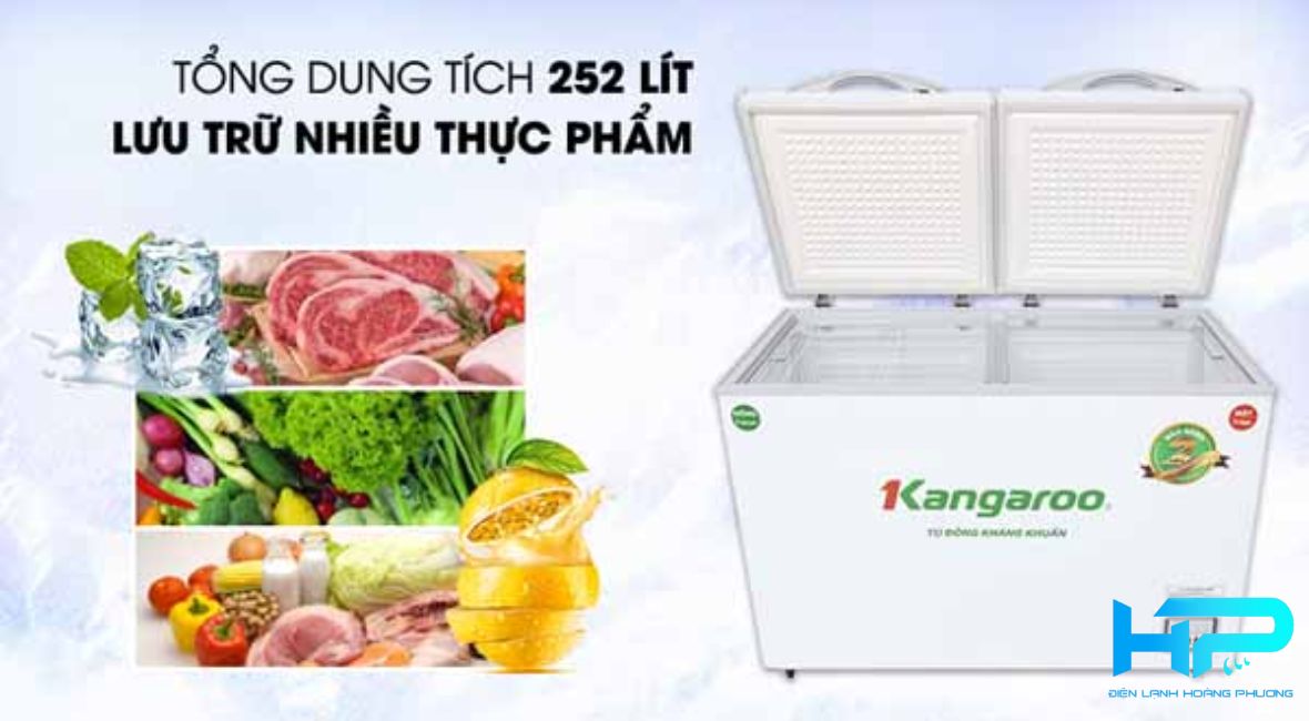 Dung tich 252 lit phu hop voi cac ho kinh doanh quy mo nho